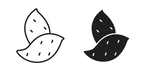 Sweet potato icon. modern vector symbols set