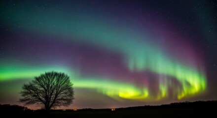 Naklejka premium Mesmerizing Aurora Borealis Dance Above a Solitary Tree Under a Starry Night Sky