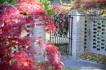 Beautiful southern low country garden scape of live oak trees, azaleas, and Spanish moos making an idealic serene antebellum atmosphere. 