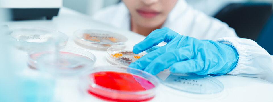 Young female scientist examining petri dishes in a laboratory while wearing safety glasses and gloves. Close-up shot showing scientific curiosity and microbiological research process.