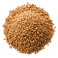 Sorghum Seeds Pile Isolated on Transparent Background