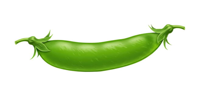 Illustrative green pea pod with detailed texture and vibrant color