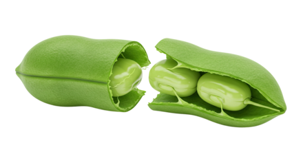 Open green broad bean pod revealing three fresh beans inside