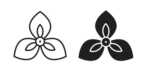 Bougainvillea icon. modern vector symbols set