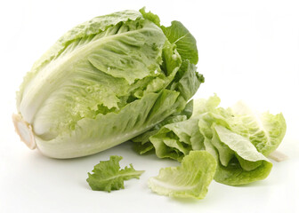 Lettuce