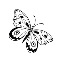 Elegant Butterfly Line Art – Black and White Symmetrical Insect Illustration for Tattoo or T-Shirt Design .