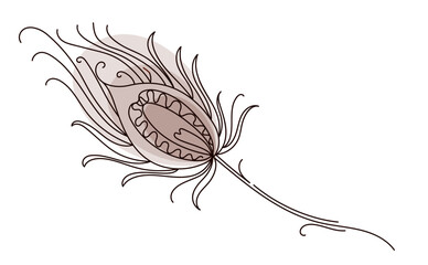 Peacock feather in continuous line drawing style. Decorative elegant design element for card, wedding invitation, bird theme. Indian holiday. Linear vector illustration.
