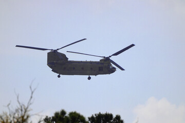 Chinook helicopter in flight over trees. 