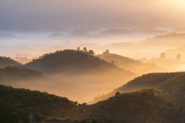 Grandiose view from the top of the hill, which captured landscape of Vietnam Central Highland covered by fog and golden light of sunrise moment
