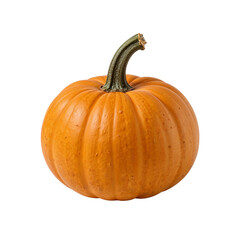 Fresh pumpkin with a green stem on a clean white background