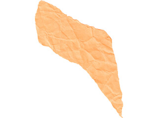 Leaf isolated on a white background, a natural object displaying the autumn season's colors