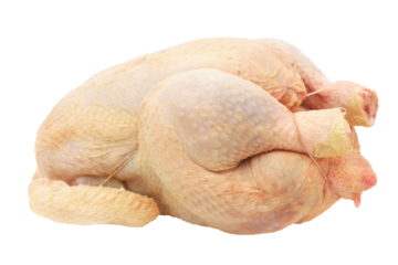 Fresh chicken - fresh hen / Transparent background