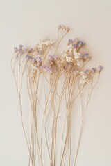 Minimal Dried Flower Bouquet

