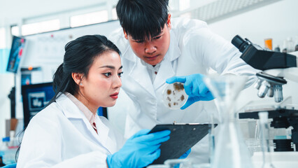 Young researchers collaborate on mold sample analysis in a science lab. The male scientist holds a...
