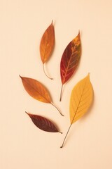 Autumn Leaves on Beige Background

