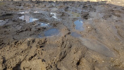 雨上がりの土