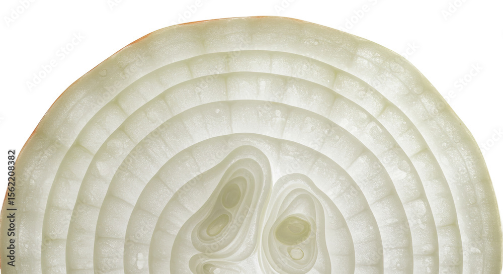 Aufkleber Translucent layers of a sliced white onion create a circular pattern