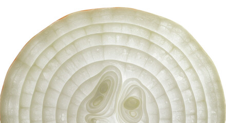 Obraz premium Translucent layers of a sliced white onion create a circular pattern
