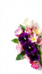 bouquet of white tulips