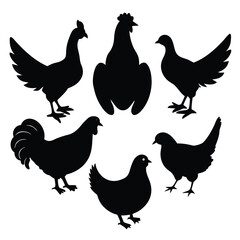 Fototapeta premium a centered vector art board layout with exactly 6 different domestic and farm birds in full-body black silhouette style,