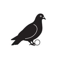 Silhouette of a pigeon standing with a ring on foot