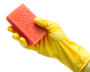 sponge in hand isolated on white background. PNG Transparent file type with high definition quality And vibrant color grading Available.