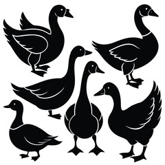 Obraz premium an image of six black silhouette ducks and geese in various poses, arranged on a white background 