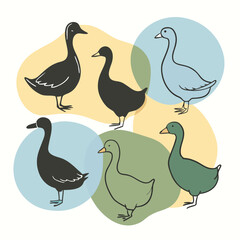 Fototapeta premium an image of six black silhouette ducks and geese in various poses, arranged on a white background 