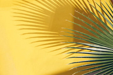 Close-up of palm leaf casting a shadow on a bright yellow wall with copy space. The image...