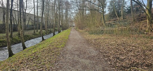 Peaceful Woodland Path Next to Flowing Stream