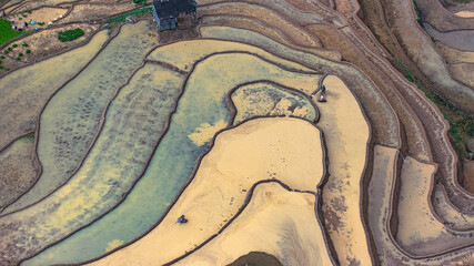 Hmong farmers prepare their fields and plant rice on terraced fields in Mu Cang Chai, Yen Bai....