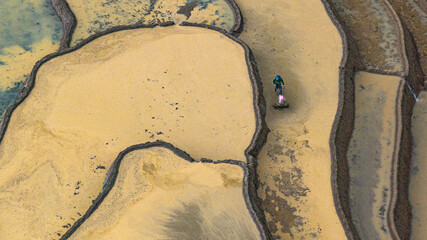 Hmong farmers prepare their fields and plant rice on terraced fields in Mu Cang Chai, Yen Bai....