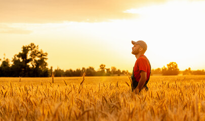 Fototapeta premium Male farm worker in cap standing in yellow cereal field at sunset