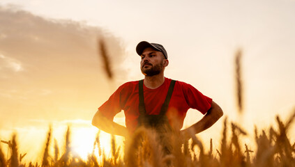 Low angle view of serious male farmer standing in wheat field at sunset