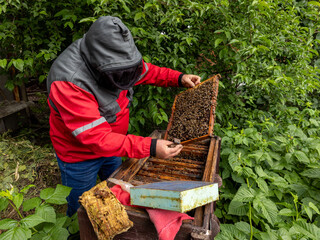 A man in a red jacket and a hoodie holding a beehive full of bees