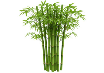 Obraz premium Vibrant green bamboo stalks with lush leaves isolated on transparent background