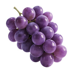 Fototapeta premium Purple Grapes Cluster with Glossy Surface and Stem
