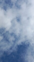 Blue Sky with White Clouds and Tree Branches