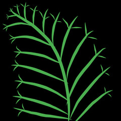 Flower vector illustration 