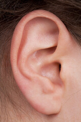 Detail of the face with a human ear.