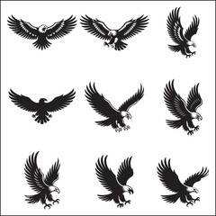 Collection of Nine Black and White Eagle Illustrations in Flight and Landing