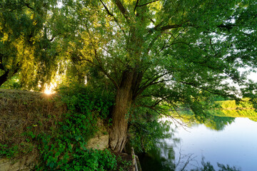  Marne river bank in Isles-lès-Villenoy village