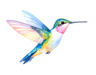Obraz premium Hummingbird in flight, a captivating display of aerial agility and vibrant colors