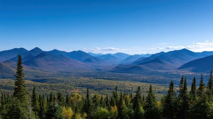 Majestic Mountain Landscape with Lush Green Forest and Clear Blue Sky in Autumn Season