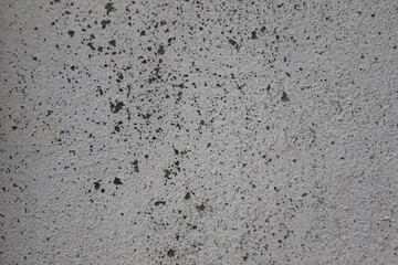 Close-up of a Speckled Gray Concrete Wall Texture