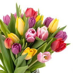 Obraz premium Vibrant bouquet of multicolored spring tulips with green leaves isolated on a transparent background