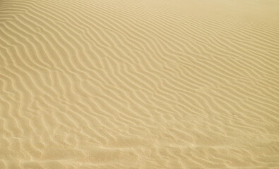 Amazing pattern of sand ripples of Anakena beach, Easter island, Chile, Pacific ocean, South America