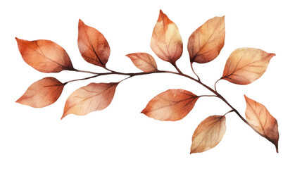 Watercolor branch with warm toned brown and orange hand painted botanical illustration autumn foliage natural design isolated on white background