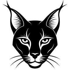 Obraz premium tiger head vector