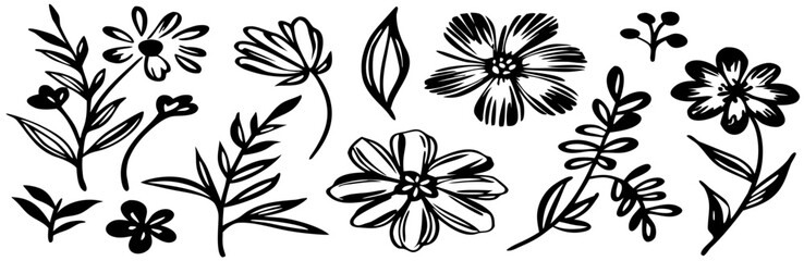 Hand-drawn Black and White Floral Elements: Botanical Illustrations